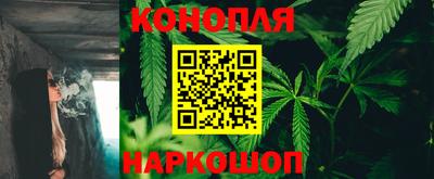 мяу мяу мука Будённовск
