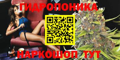гашик Бугуруслан