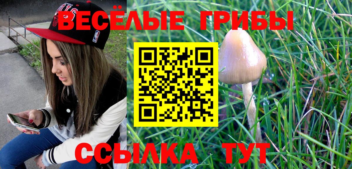 Псилоцибиновые грибы ЛСД Чебаркуль